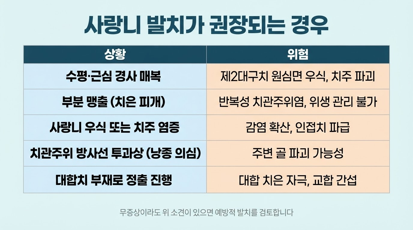 사랑니 꼭 빼야 할까 — 발치 기준과 보존 기준