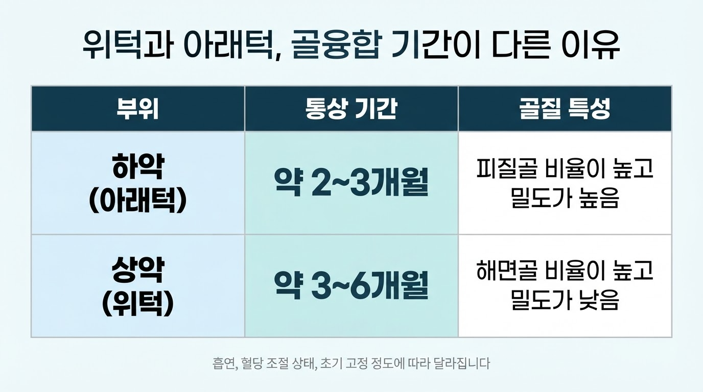 위턱, 아래턱의 골융합 기간 차이