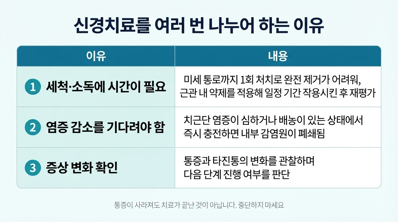 신경치료는 왜 여러 번 하나 — 과정과 횟수의 이유