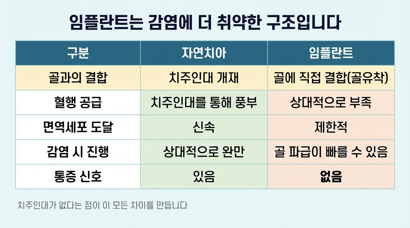임플란트와 자연치아의 차이