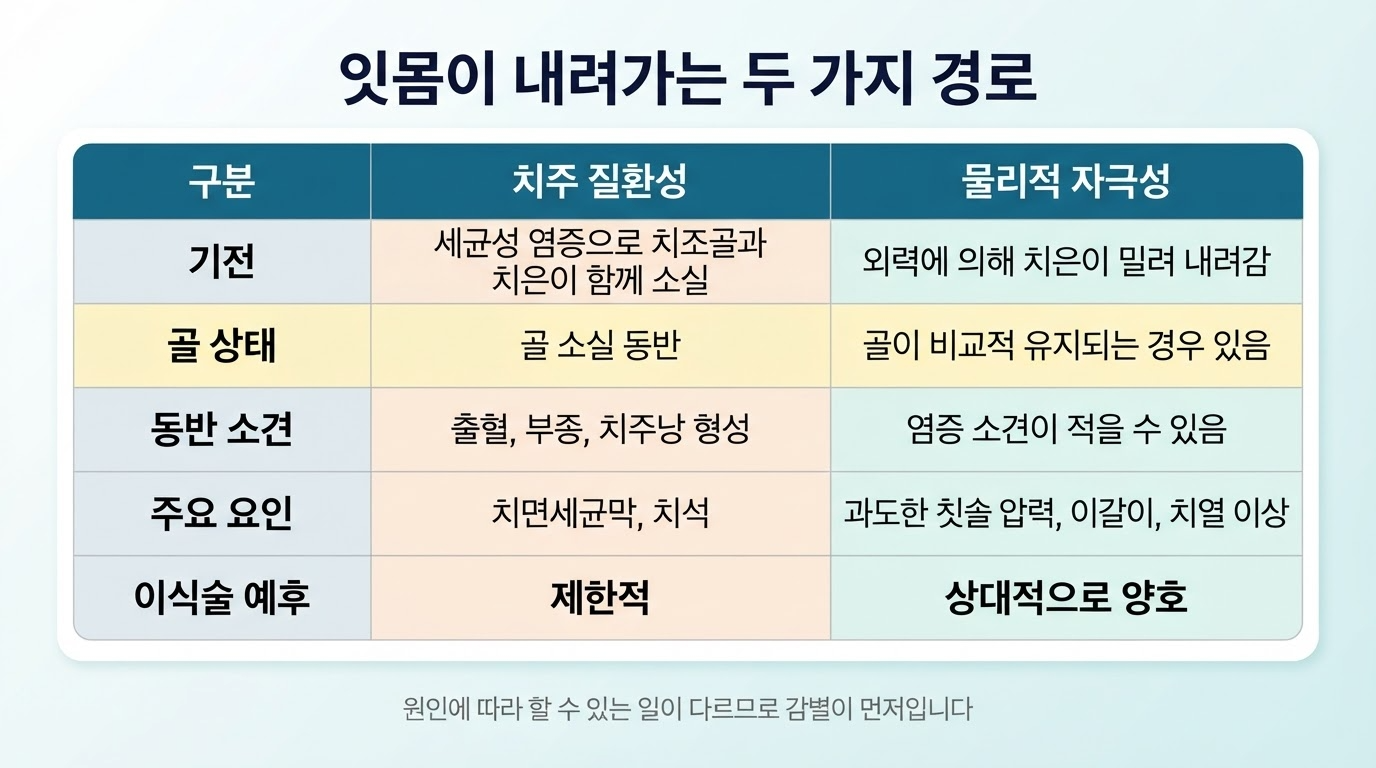 치은퇴축의 원인